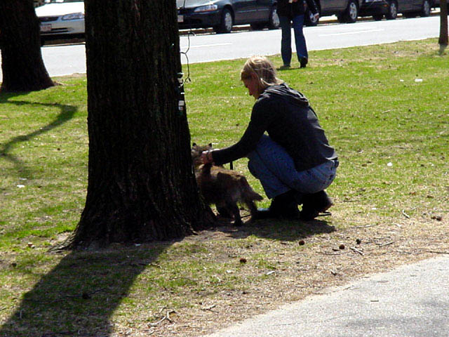 woman with dog